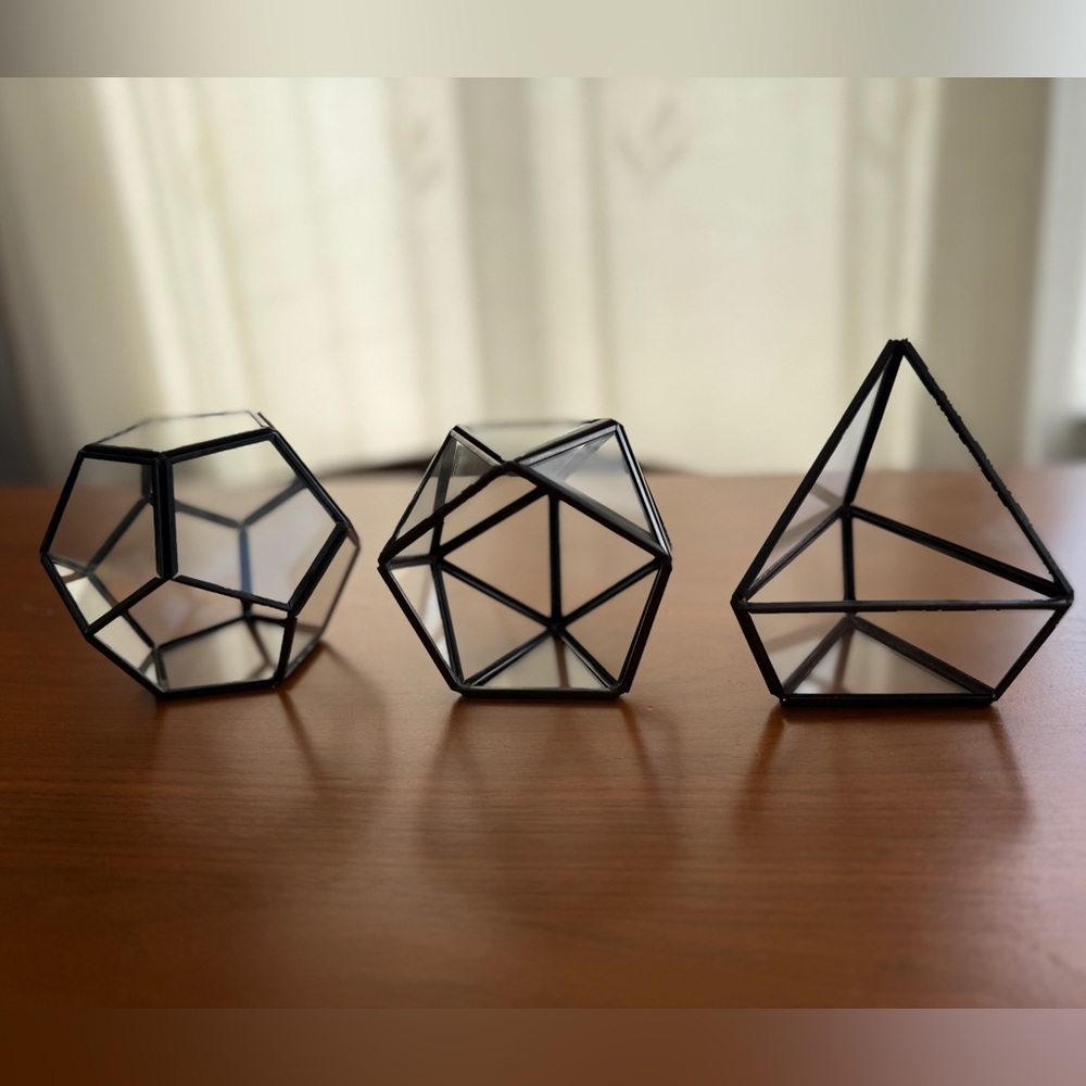 Brand New Terrarium Black Trim Glass Set